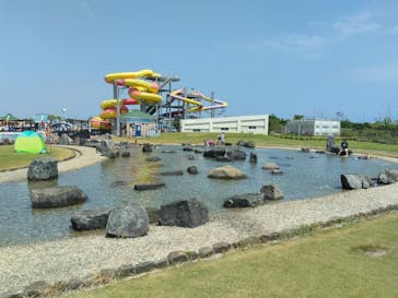 蓮沼ウォーターガーデンに投稿された画像（2022/8/25）