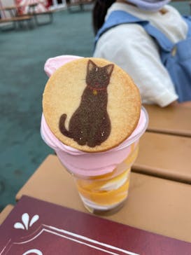 西武園ゆうえんちに投稿された画像（2022/8/25）