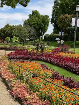 安城産業文化公園デンパークに投稿された画像（2022/8/25）