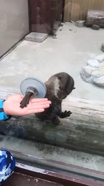 横浜・八景島シーパラダイスに投稿された画像（2022/8/25）