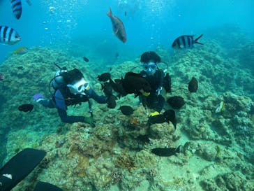 DIVING-SHOP SUNSに投稿された画像（2022/8/25）