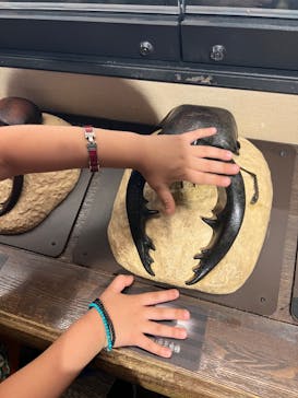 国立科学博物館に投稿された画像（2022/8/25）