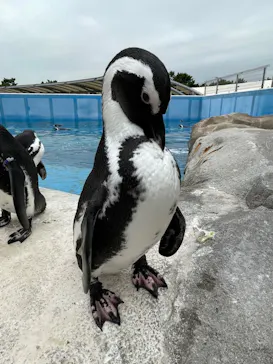 横浜・八景島シーパラダイスに投稿された画像（2022/8/25）