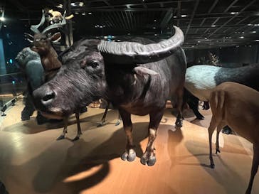 国立科学博物館に投稿された画像（2022/8/25）