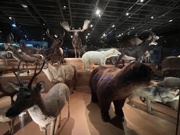 国立科学博物館に投稿された画像（2022/8/25）