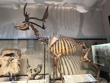 国立科学博物館に投稿された画像（2022/8/25）