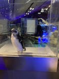 すみだ水族館に投稿された画像（2022/8/25）