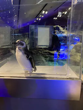 すみだ水族館に投稿された画像（2022/8/25）