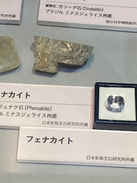 特別展「宝石　地球がうみだすキセキ」（名古屋市科学館　理工館地下２階イベントホール）に投稿された画像（2022/8/25）
