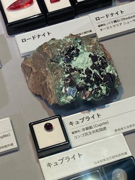 特別展「宝石　地球がうみだすキセキ」（名古屋市科学館　理工館地下２階イベントホール）に投稿された画像（2022/8/25）