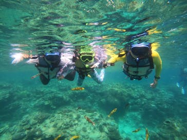 Sea World（シーワールド）に投稿された画像（2022/8/25）