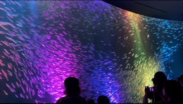 名古屋港水族館に投稿された画像（2022/8/25）