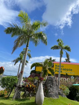 ナゴパイナップルパークに投稿された画像（2022/8/25）