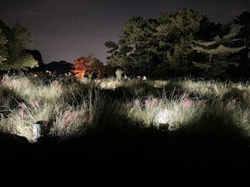 チームラボ ボタニカルガーデン 大阪に投稿された画像（2022/8/25）