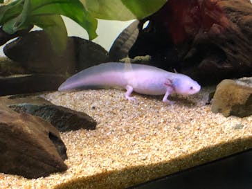 サンシャイン水族館に投稿された画像（2022/8/25）