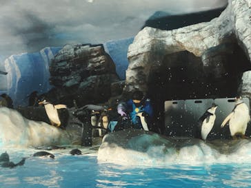 名古屋港水族館に投稿された画像（2022/8/25）