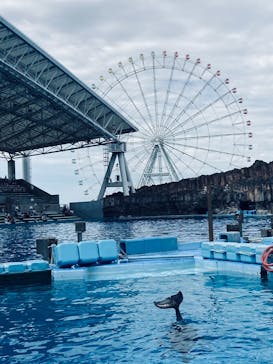 名古屋港水族館に投稿された画像（2022/8/25）