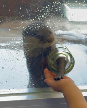 箱根園水族館に投稿された画像（2022/8/26）