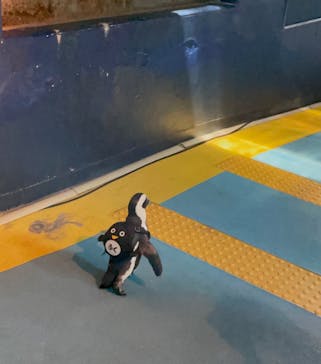 箱根園水族館に投稿された画像（2022/8/26）