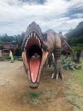 伊豆ぐらんぱる公園に投稿された画像（2022/8/26）