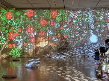 安祥文化のさとに投稿された画像（2022/8/26）