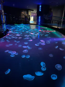 すみだ水族館に投稿された画像（2022/8/26）