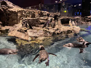 すみだ水族館に投稿された画像（2022/8/26）