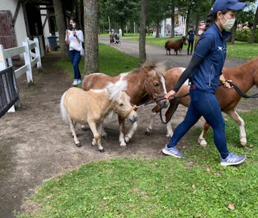 ノーザンホースパークに投稿された画像（2022/8/26）