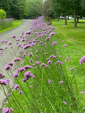 ノーザンホースパークに投稿された画像（2022/8/26）