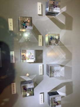 特別展「宝石　地球がうみだすキセキ」（名古屋市科学館　理工館地下２階イベントホール）に投稿された画像（2022/8/26）