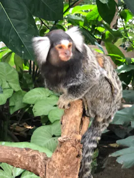 神戸どうぶつ王国に投稿された画像（2022/8/26）