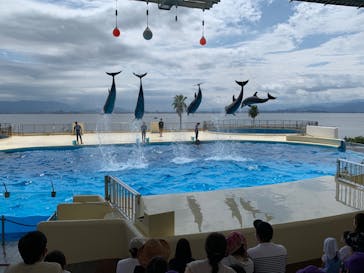 マリンワールド海の中道に投稿された画像（2022/8/26）