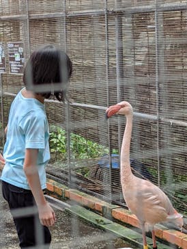 富士花鳥園に投稿された画像（2022/8/26）