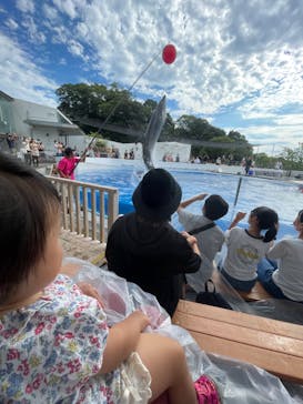 九十九島水族館海きららに投稿された画像（2022/8/26）