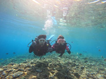 武藤潜水に投稿された画像（2022/8/26）