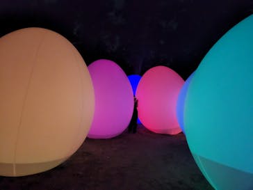 チームラボ ボタニカルガーデン 大阪に投稿された画像（2022/8/26）