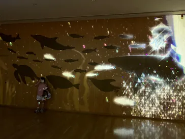 仙台うみの杜水族館に投稿された画像（2022/8/26）