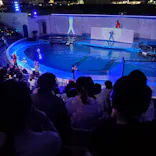 仙台うみの杜水族館に投稿された画像（2022/8/26）