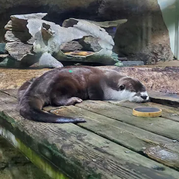 仙台うみの杜水族館に投稿された画像（2022/8/26）