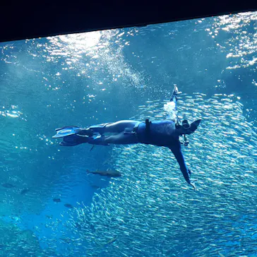 仙台うみの杜水族館に投稿された画像（2022/8/26）
