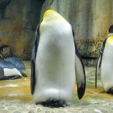 仙台うみの杜水族館に投稿された画像（2022/8/26）
