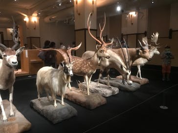 国立科学博物館に投稿された画像（2022/8/26）