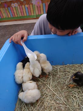 東京あそびマーレに投稿された画像（2022/8/26）