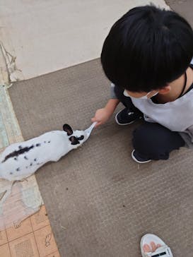 東京あそびマーレに投稿された画像（2022/8/26）