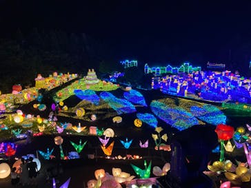 伊豆ぐらんぱる公園に投稿された画像（2022/8/26）