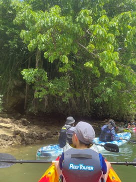 沖縄海うさぎ・海あしびに投稿された画像（2022/8/26）