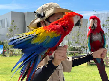 神戸どうぶつ王国に投稿された画像（2022/8/26）