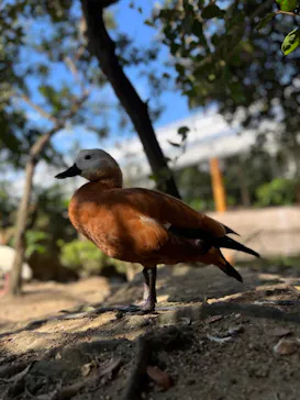 神戸どうぶつ王国に投稿された画像（2022/8/26）