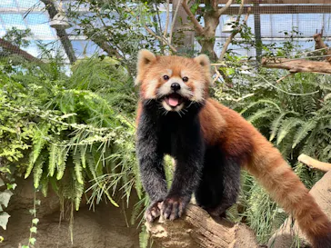 神戸どうぶつ王国に投稿された画像（2022/8/26）