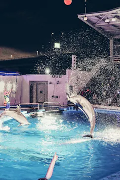 仙台うみの杜水族館に投稿された画像（2022/8/26）